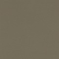 NAPPATECH_TAUPE_001.jpg