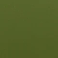 NAPPATECH_OLIVE_001.jpg